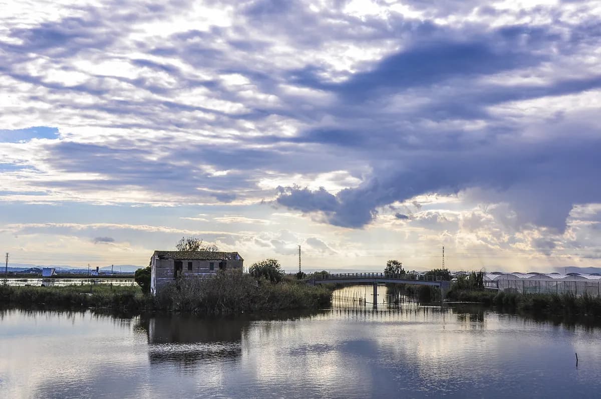 Albufera Natural Park Day Trip From Valencia: The Ultimate Guide