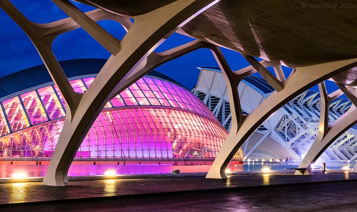 9 Essential Stops for a Valencia Museum Tour (2026)