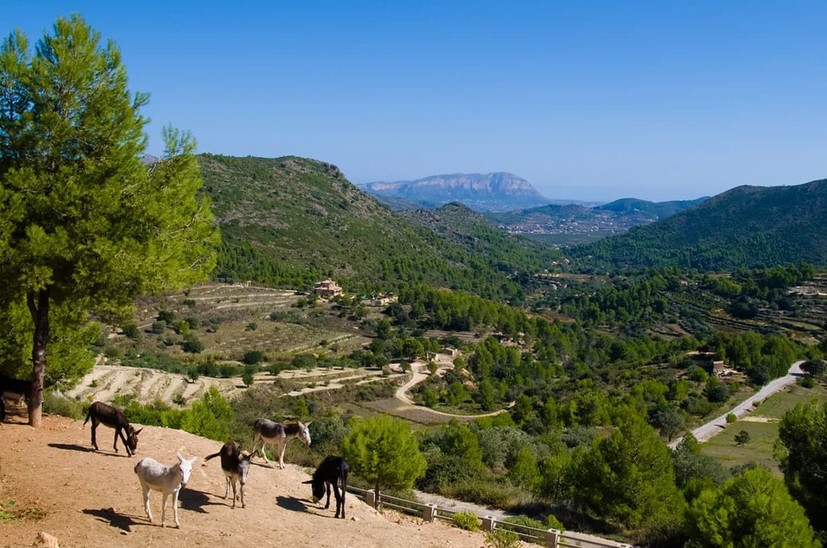 Is Alicante Worth Visiting? 8 Things to Know Before You Go