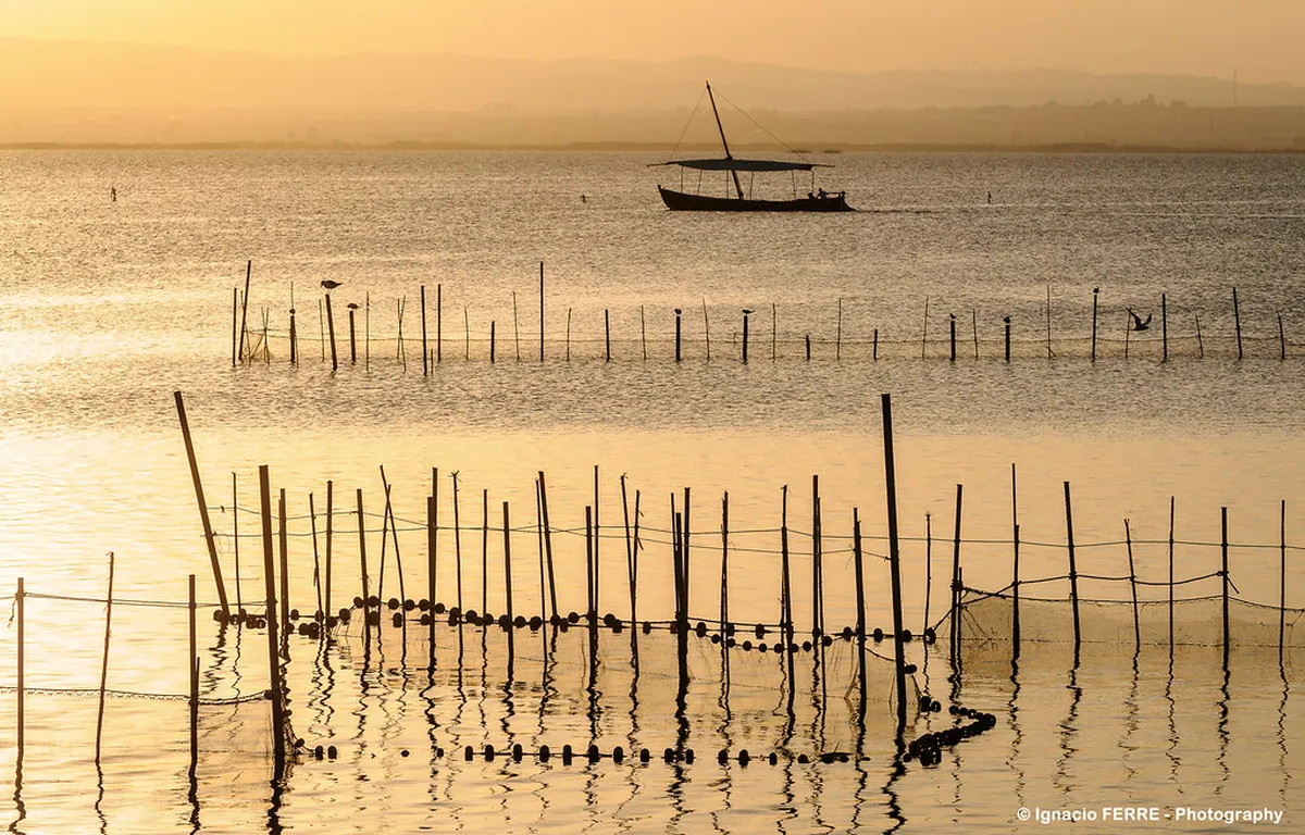 Albufera Natural Park in valencia, Spain