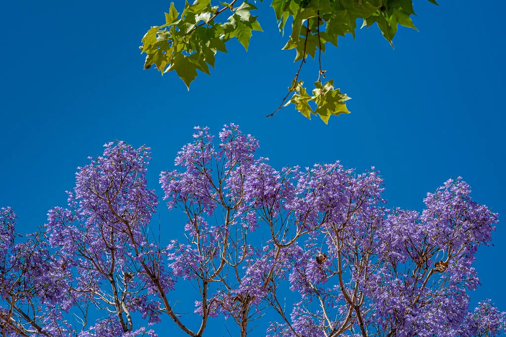 When is the Best Time to Visit Seville? in Seville, Spain