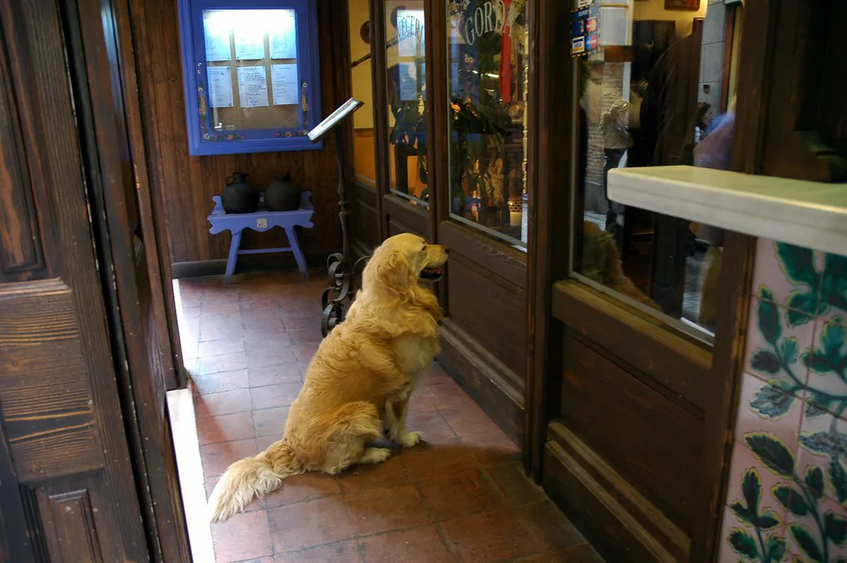 Restaurants Cheap Eats in toledo, Spain