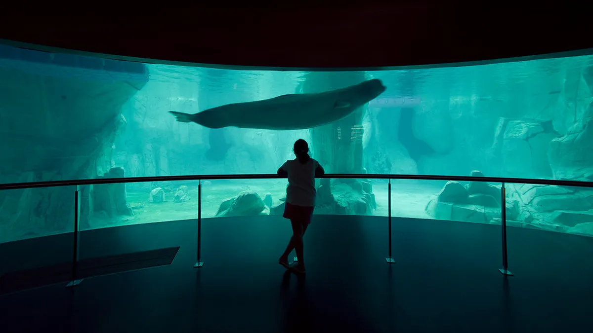 L Oceanogràfic Marine in valencia, Spain