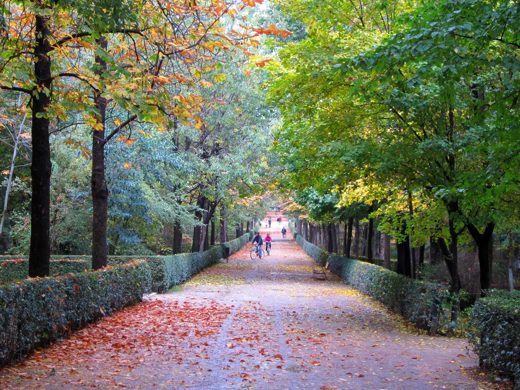 Parks, Gardens, and Outdoor Spaces in Madrid, Spain