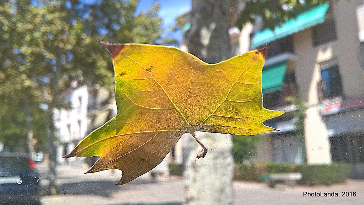 Autumn Granada September in granada, Spain