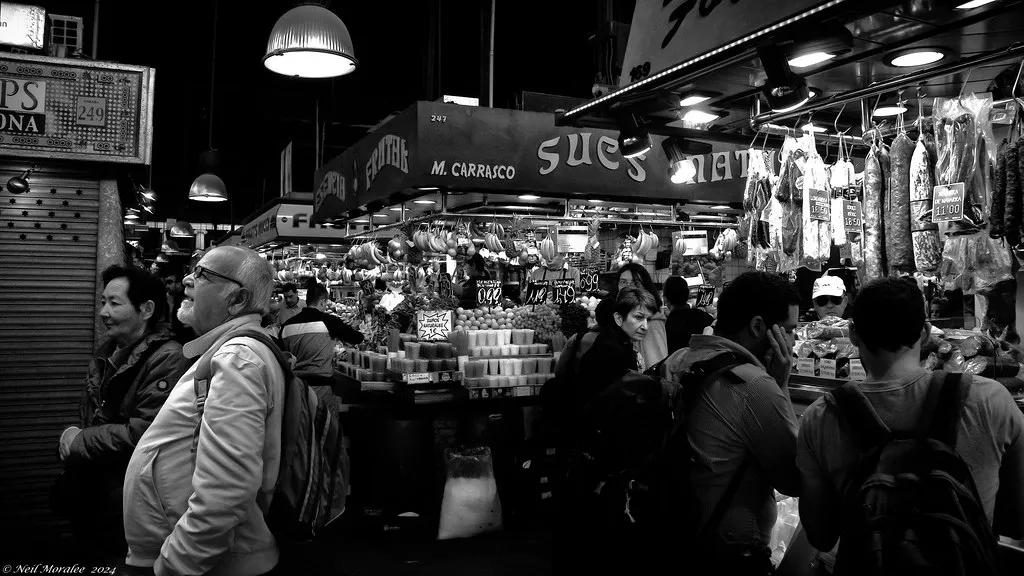 Pla de l'Os: What You Walk Over to Get In in Barcelona, Spain