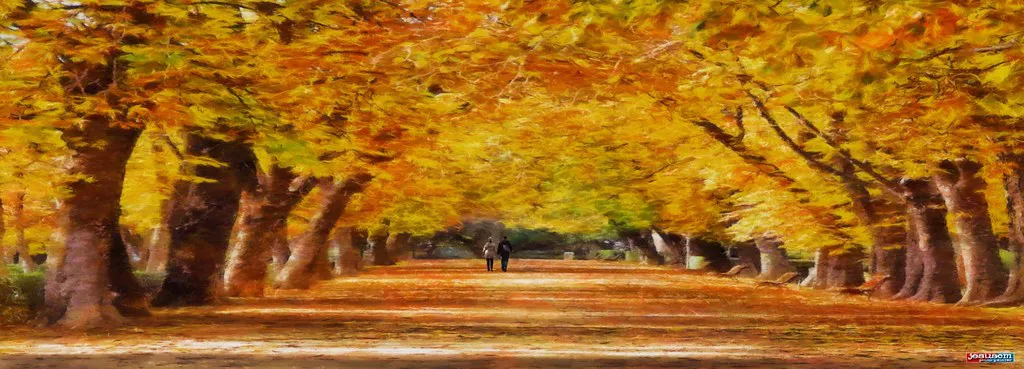 Must-See Attractions in Retiro Park in Madrid, Spain