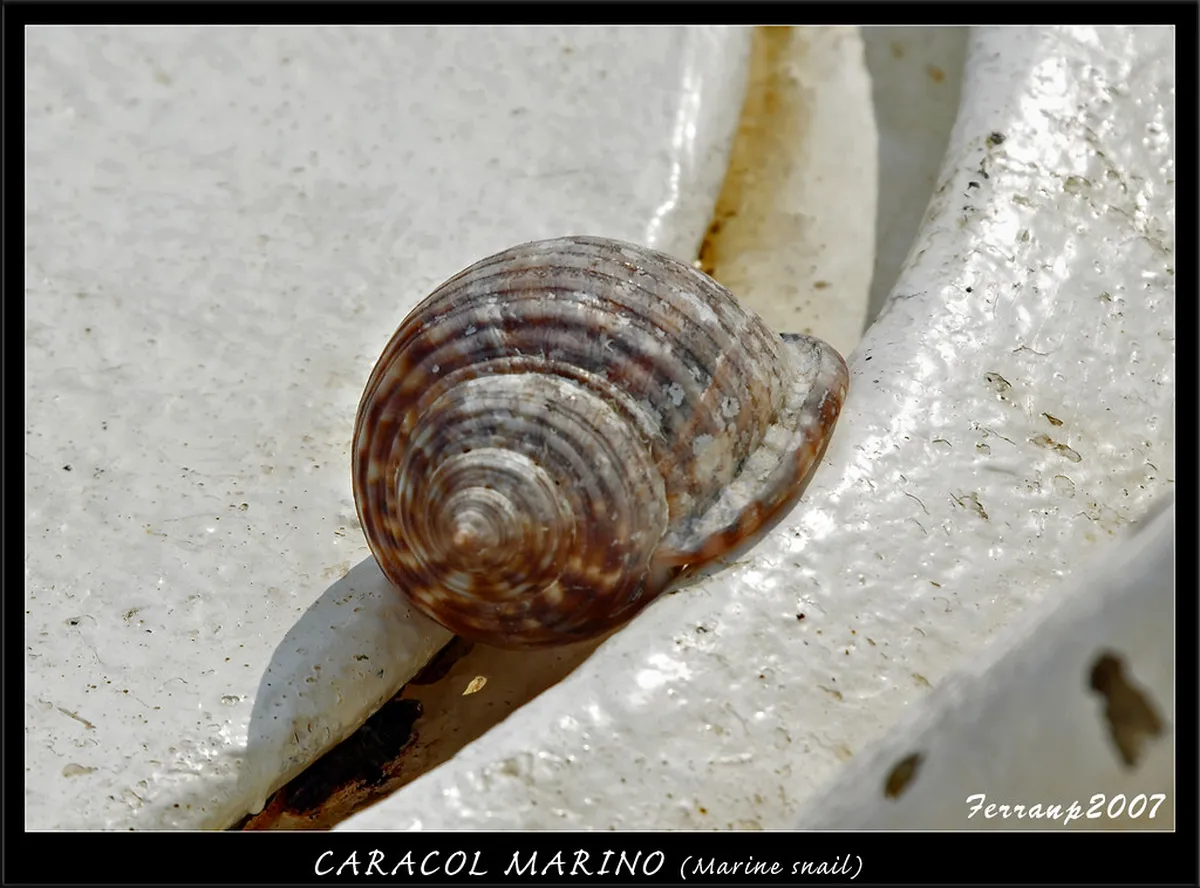 Enjoying Beaches Marine in alicante, Spain