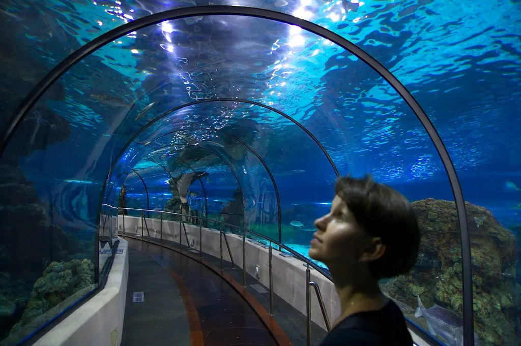 Barcelona Aquarium in Barcelona, Spain